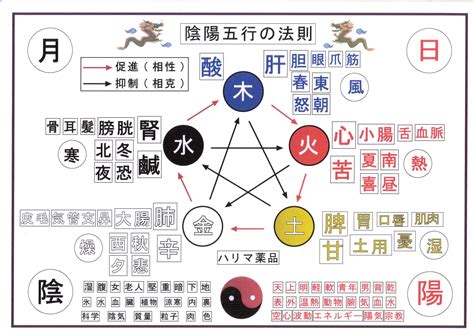 太陽五行|陰陽